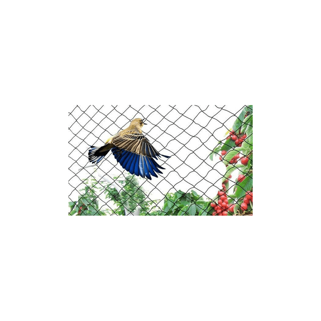 10 X GARDEN NETTING 2M X 10M - plants - express.com
