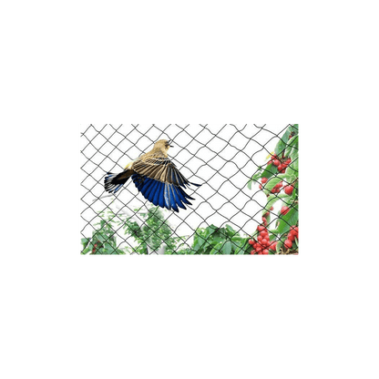 10 X GARDEN NETTING 2M X 10M - plants - express.com