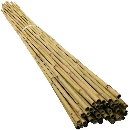 100 Premium 5FT Bamboo Canes – Eco - Friendly Garden Solutions! - plants - express.com