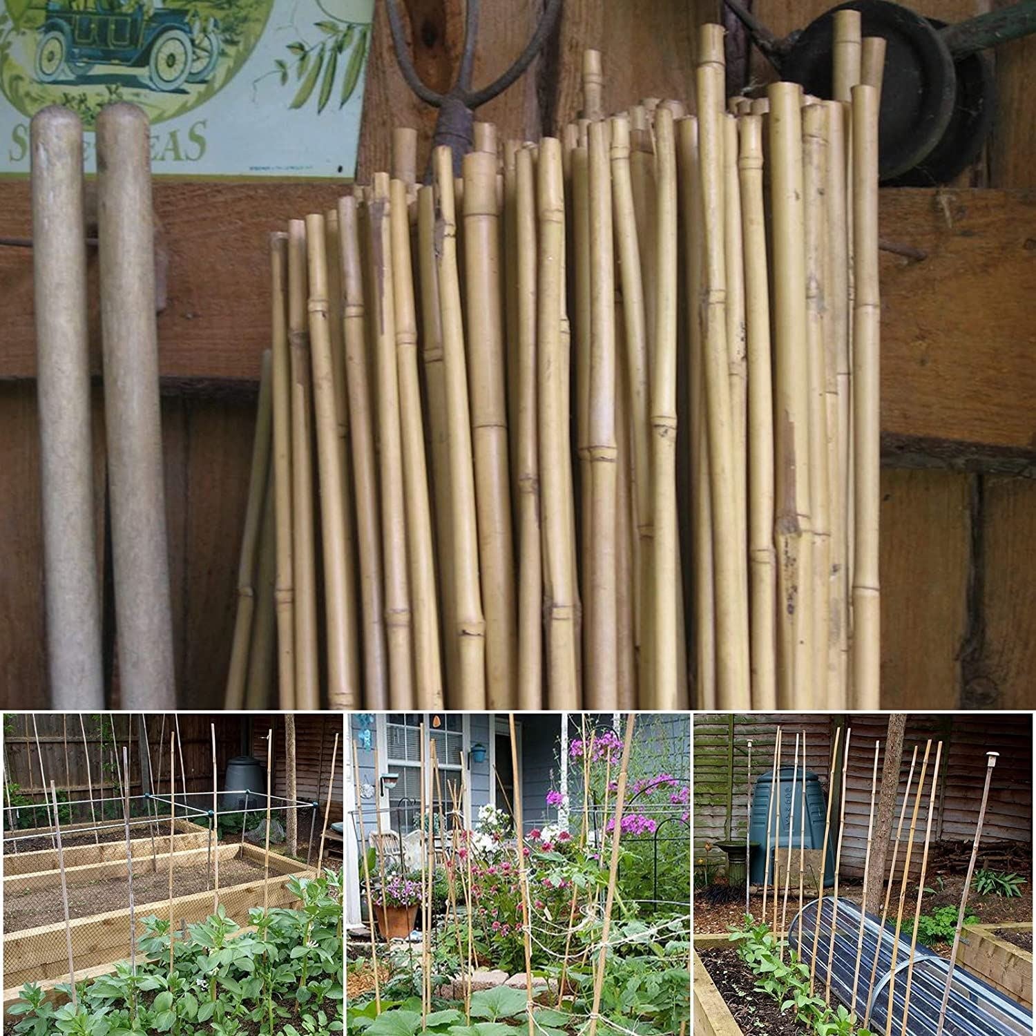 100 x 2ft (60cm) Bamboo canes - plants - express.com