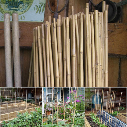100 x 3FT Bamboo Canes Sticks 90 CM - plants - express.com