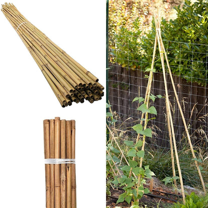 100 x 4FT Bamboo Canes Sticks 120cm - plants - express.com