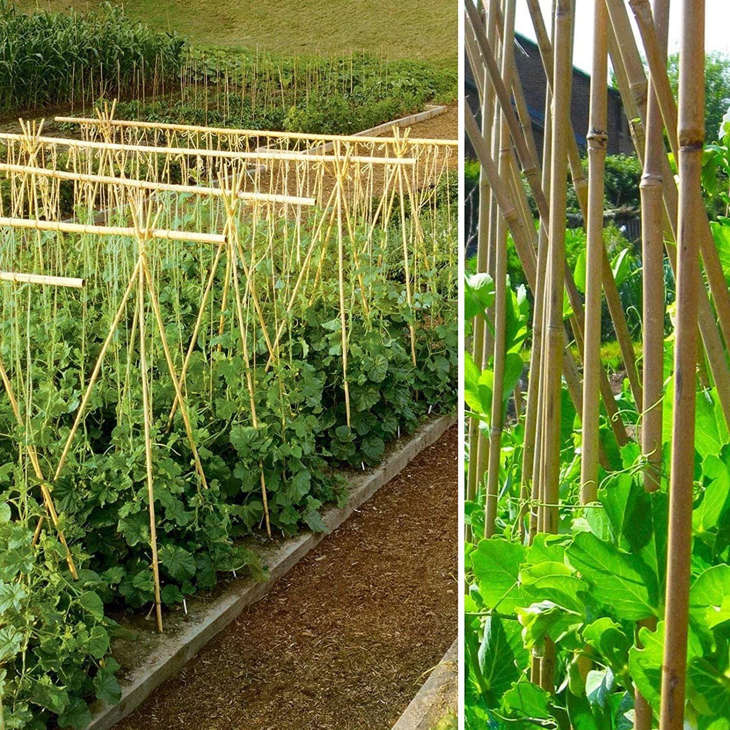 100 x 4FT Bamboo Canes Sticks 120cm - plants - express.com