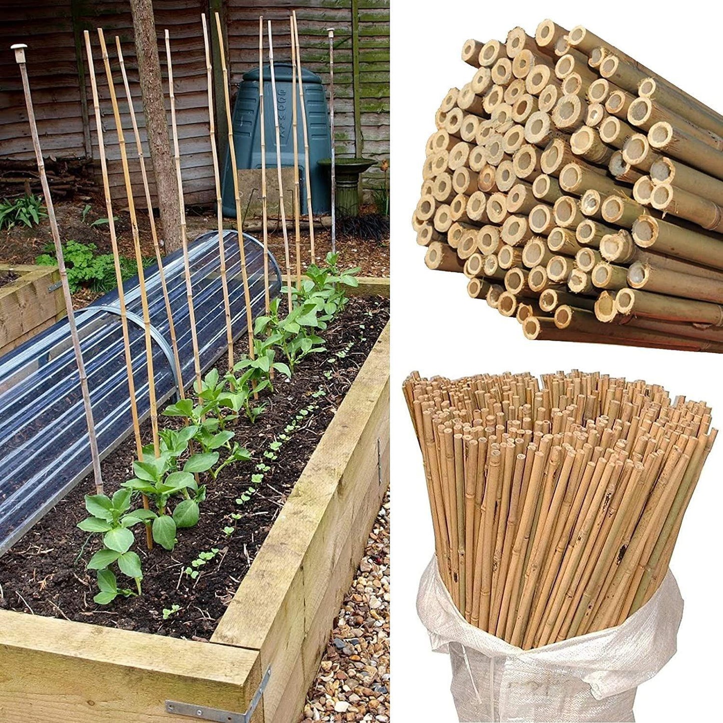 100 x 4FT Bamboo Canes Sticks 120cm - plants - express.com