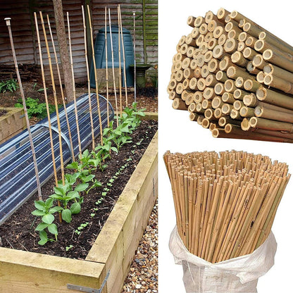 100 x 4FT Bamboo Canes Sticks 120cm - plants - express.com