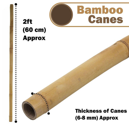 100 x 4FT Bamboo Canes Sticks 120cm - plants - express.com