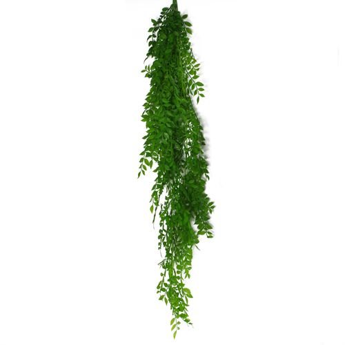100cm Artificial Hanging String of Pearls Fern - Vibrant Green Decor - plants - express.com
