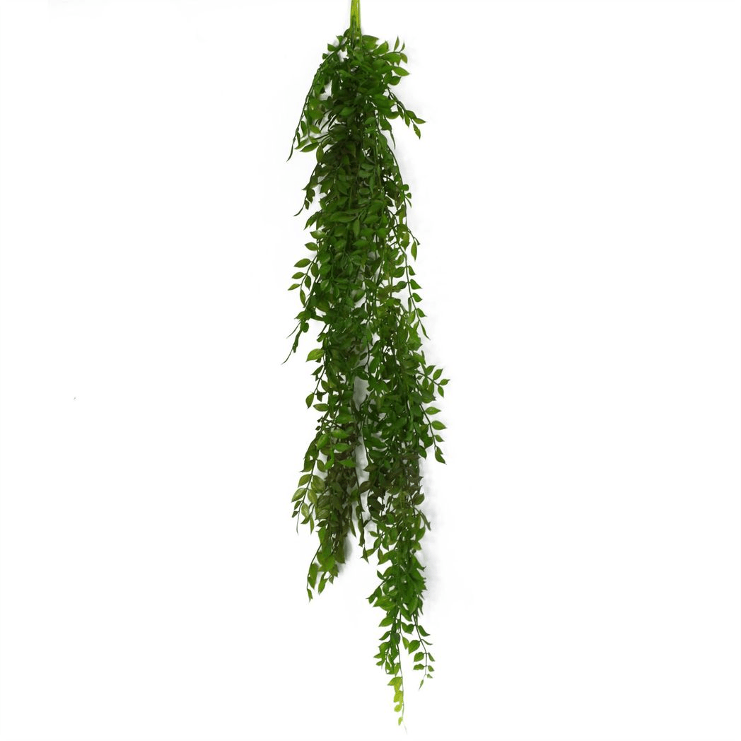 100cm Dark Green Hanging String of Pearls Fern - Lush & Versatile Decor - plants - express.com