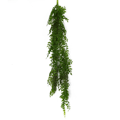 100cm Dark Green Hanging String of Pearls Fern - Lush & Versatile Decor - plants - express.com
