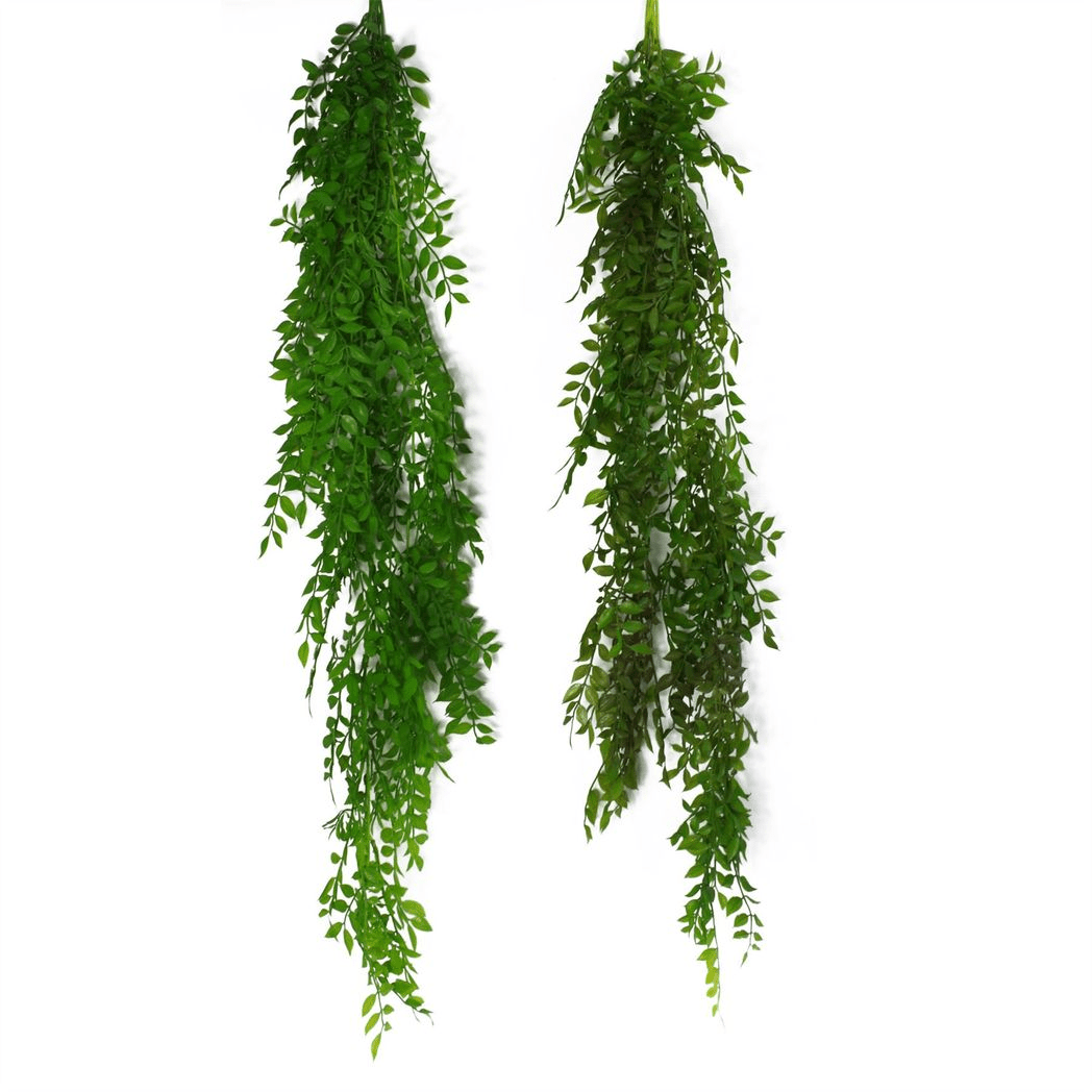 100cm Dark Green Hanging String of Pearls Fern - Lush & Versatile Decor - plants - express.com