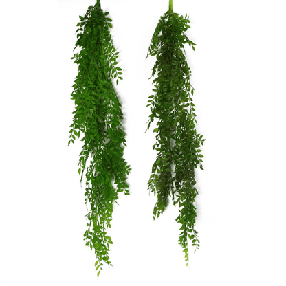 100cm Dark Green Hanging String of Pearls Fern - Lush & Versatile Decor - plants - express.com