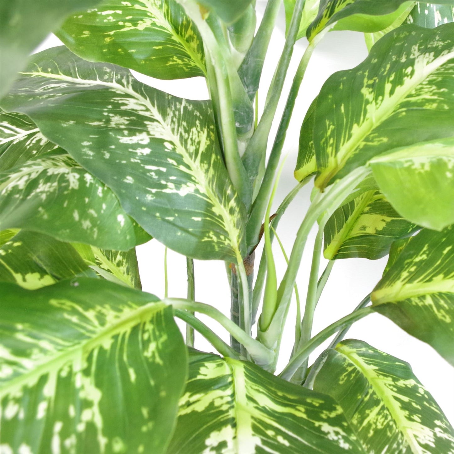 100cm Fox's Aglaonema Artificial Tree in Gold Metal Planter - plants - express.com