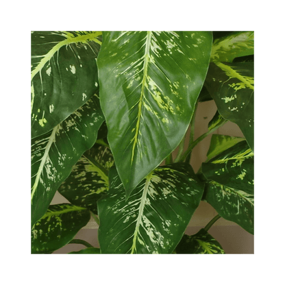 100cm Fox's Aglaonema Spotted Evergreen Artificial Tree with Copper Planter - plants - express.com