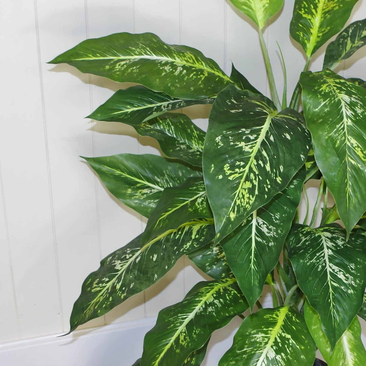 100cm Fox's Aglaonema Tree – Spotted Evergreen Artificial Plant - plants - express.com