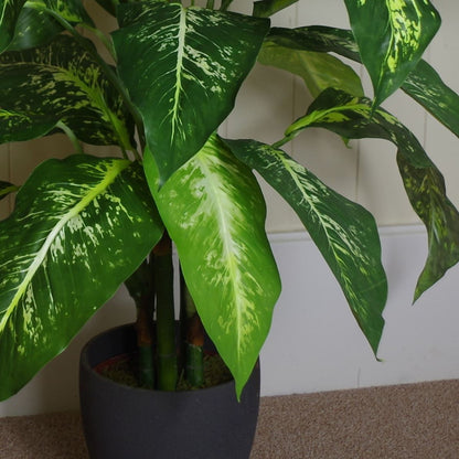 100cm Fox's Aglaonema Tree – Spotted Evergreen Artificial Plant - plants - express.com