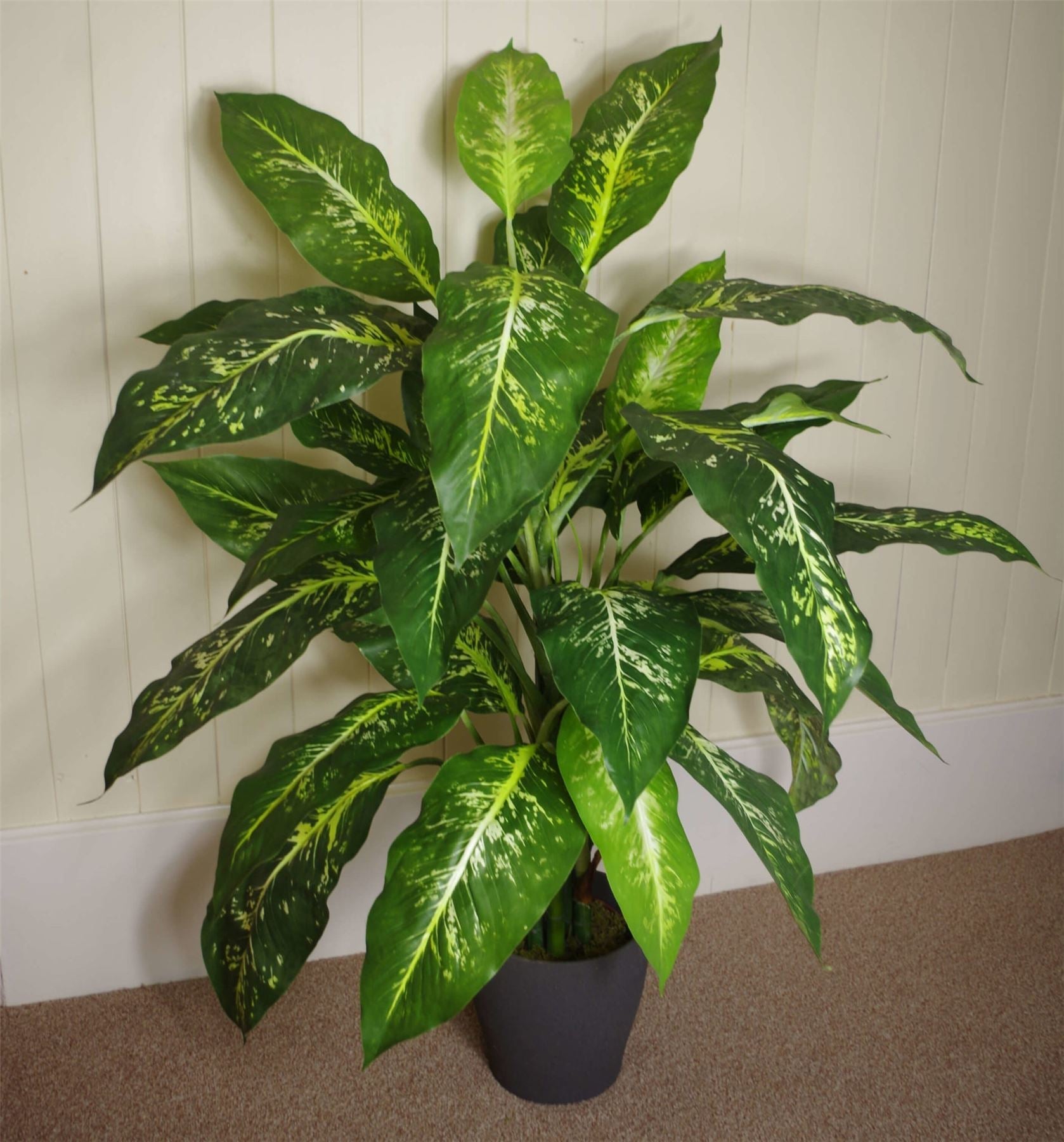 100cm Fox's Aglaonema Tree - Spotted Evergreen Artificial Plant in Silver Planter - plants - express.com