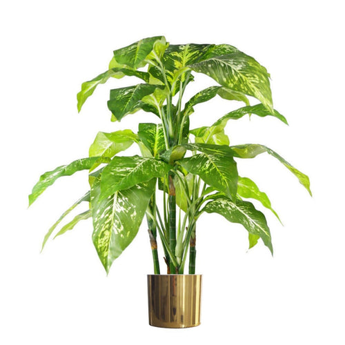 100cm Fox's Aglaonema Tree - Spotted Evergreen Artificial Plant with Gold Planter - plants - express.com