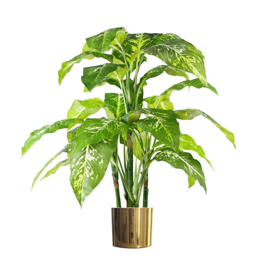 100cm Fox's Aglaonema Tree - Spotted Evergreen Artificial Plant with Gold Planter - plants - express.com