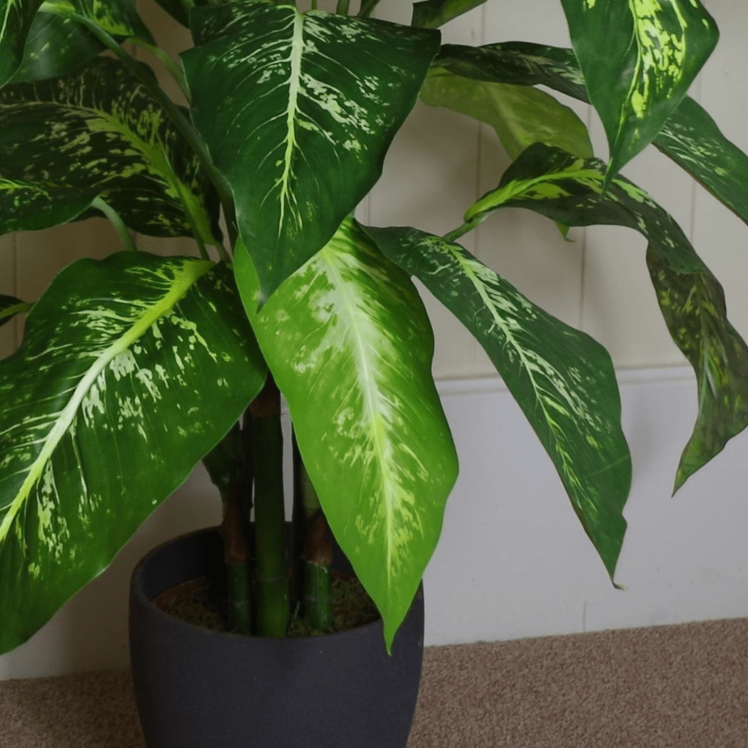 100cm Fox's Aglaonema Tree - Spotted Evergreen Artificial Plant with Gold Planter - plants - express.com