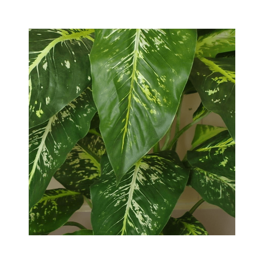 100cm Fox's Aglaonema Tree - Spotted Evergreen Artificial Plant with Gold Planter - plants - express.com