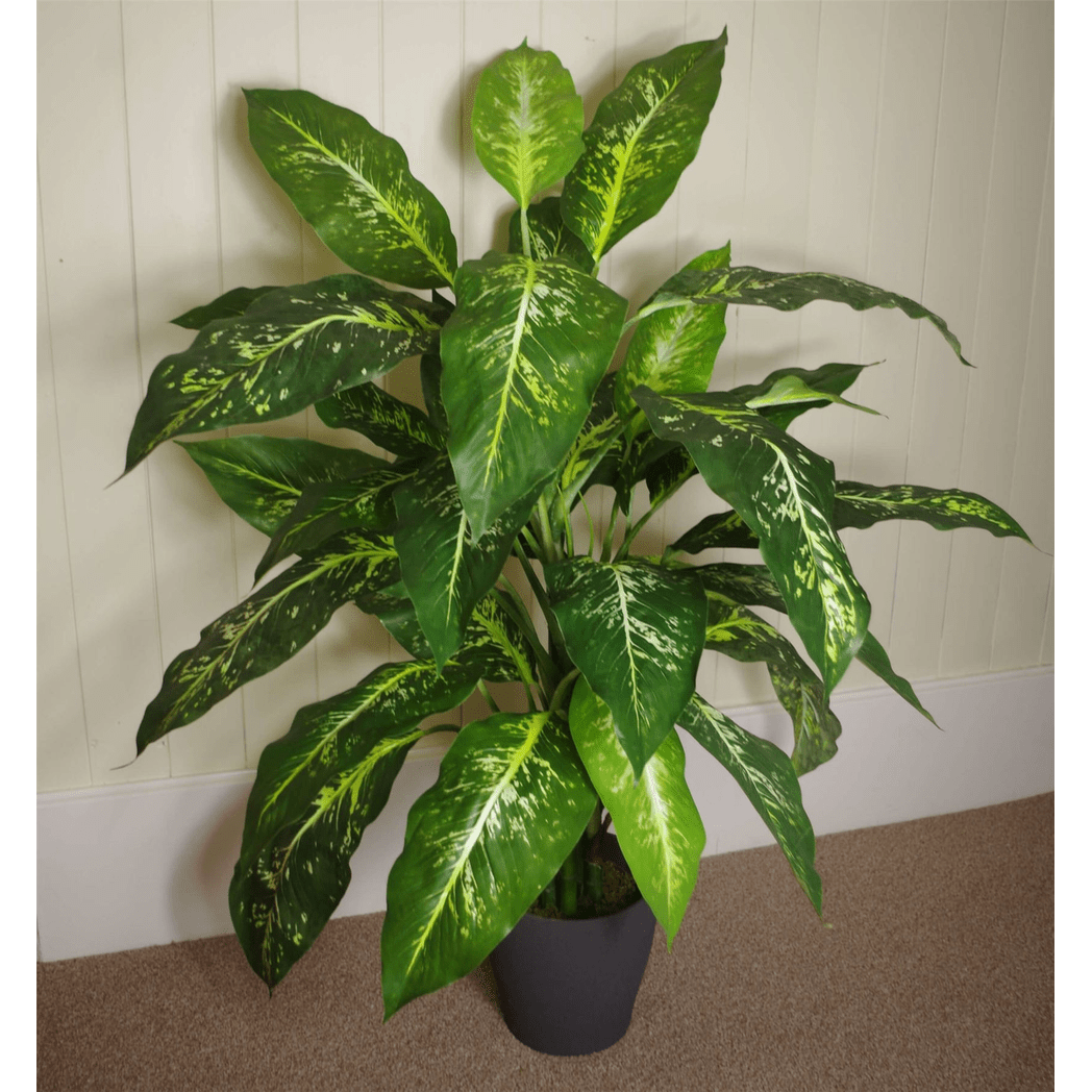 100cm Large Fox's Aglaonema Artificial Tree - Spotted Evergreen Foliage - plants - express.com