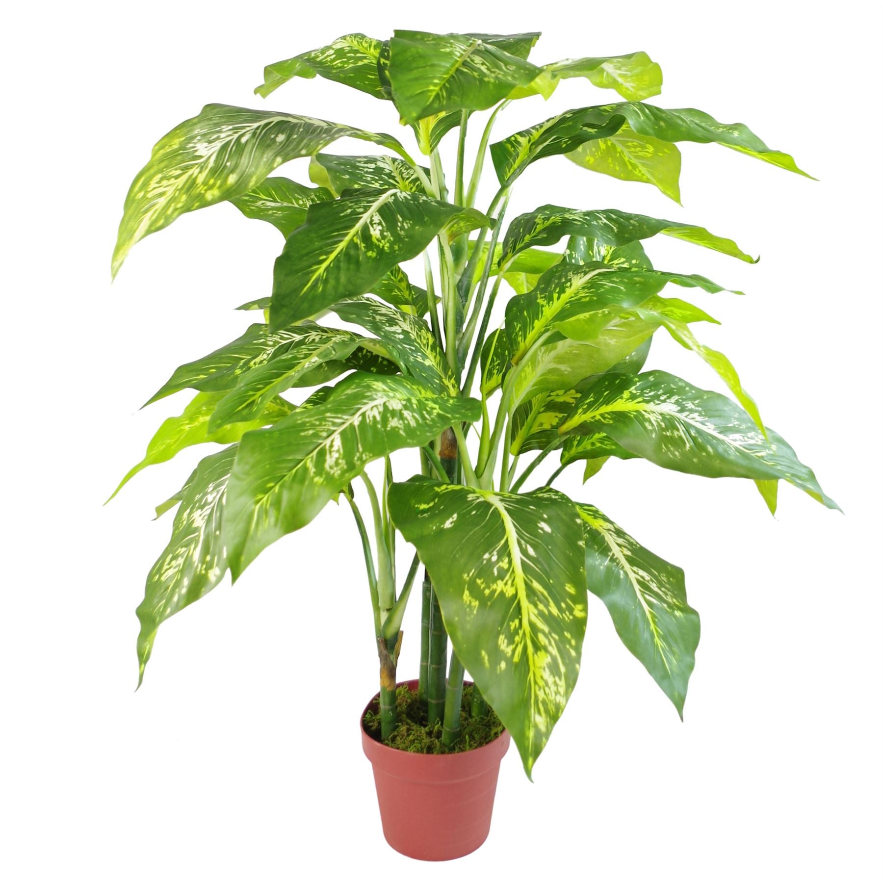 100cm Large Fox's Aglaonema Artificial Tree - Spotted Evergreen Foliage - plants - express.com