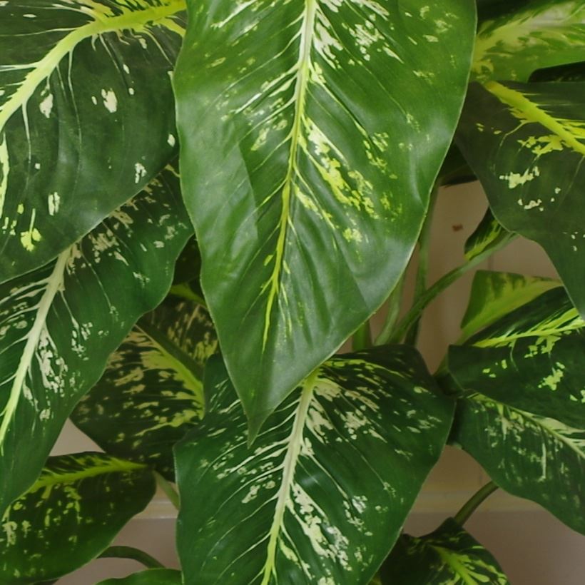 100cm Large Fox's Spotted Evergreen Aglaonema Artificial Tree in Copper Planter - plants - express.com