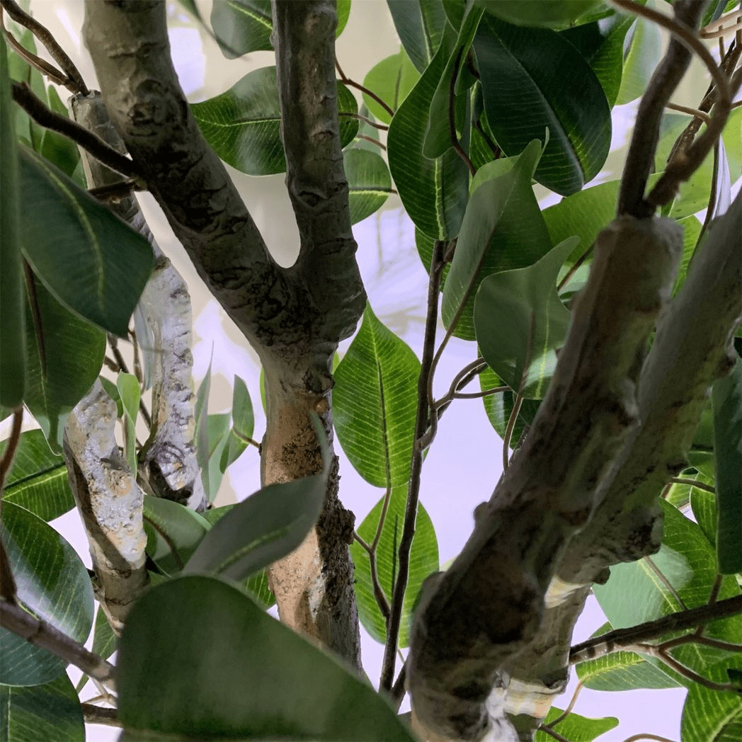 100cm Leaf Realistic Artificial Ficus Tree / Plant Bush Ficus Multicolour Planter - plants - express.com