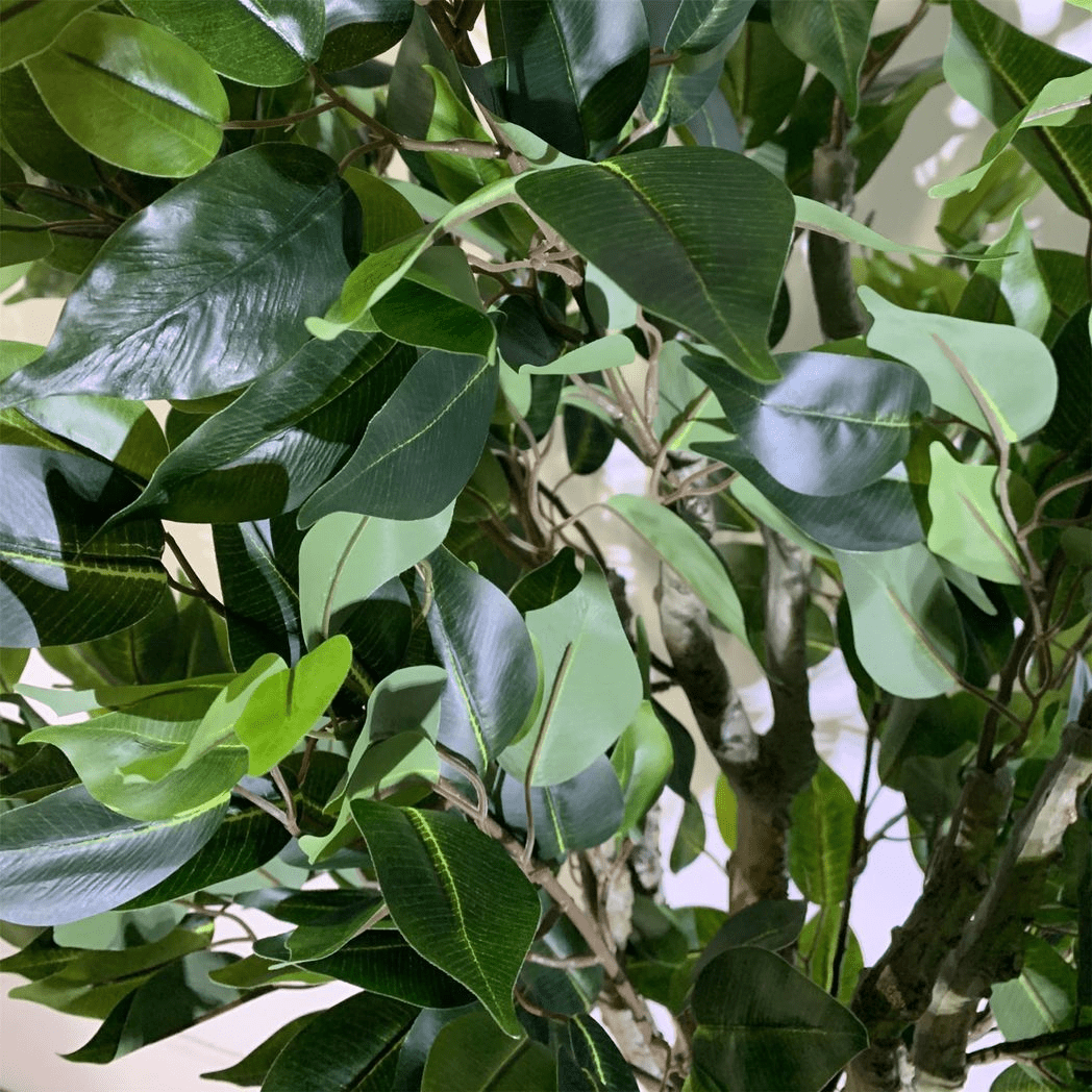 100cm Leaf Realistic Artificial Ficus Tree / Plant Bush Ficus Multicolour Planter - plants - express.com