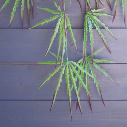 100cm Lush Artificial Hanging Spider Plant - Perfect for Any Space! - plants - express.com