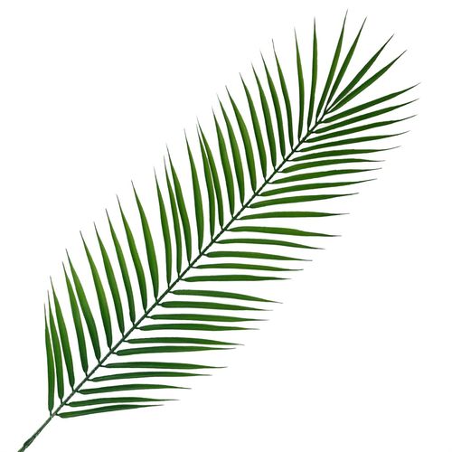 100cm Realistic Artificial Palm Leaf - plants - express.com