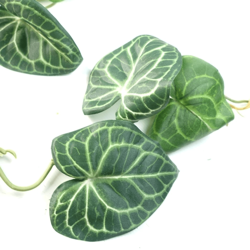 100cm Realistic Artificial Trailing Ivy - Perfect for Stunning Home Décor - plants - express.com