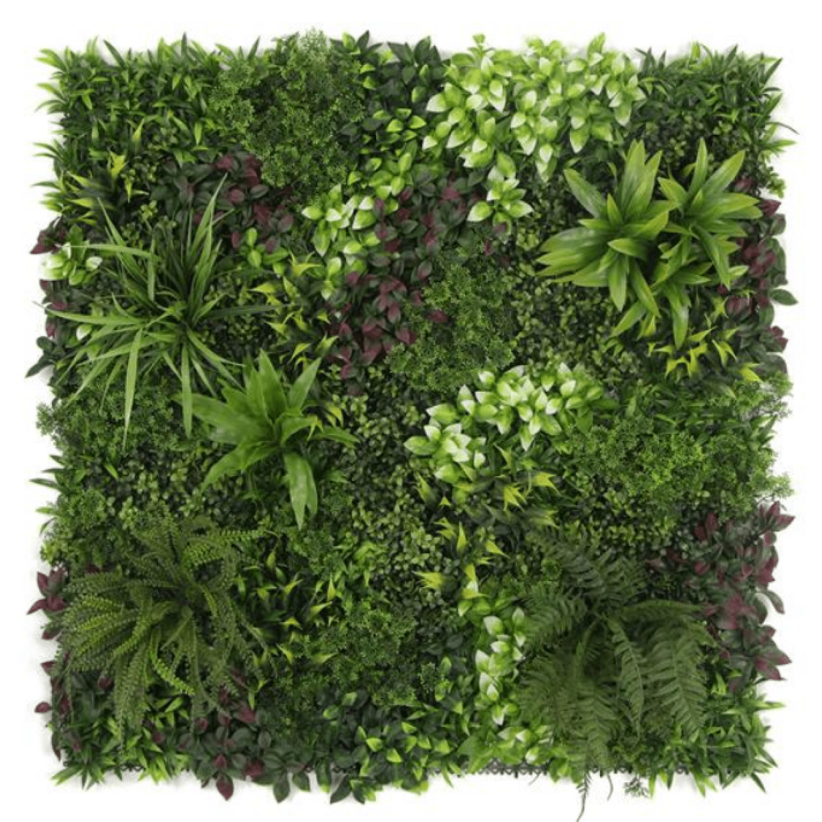 100cm UV Protected Green Wall Panel - Lush, Maintenance - Free Foliage Decor - plants - express.com