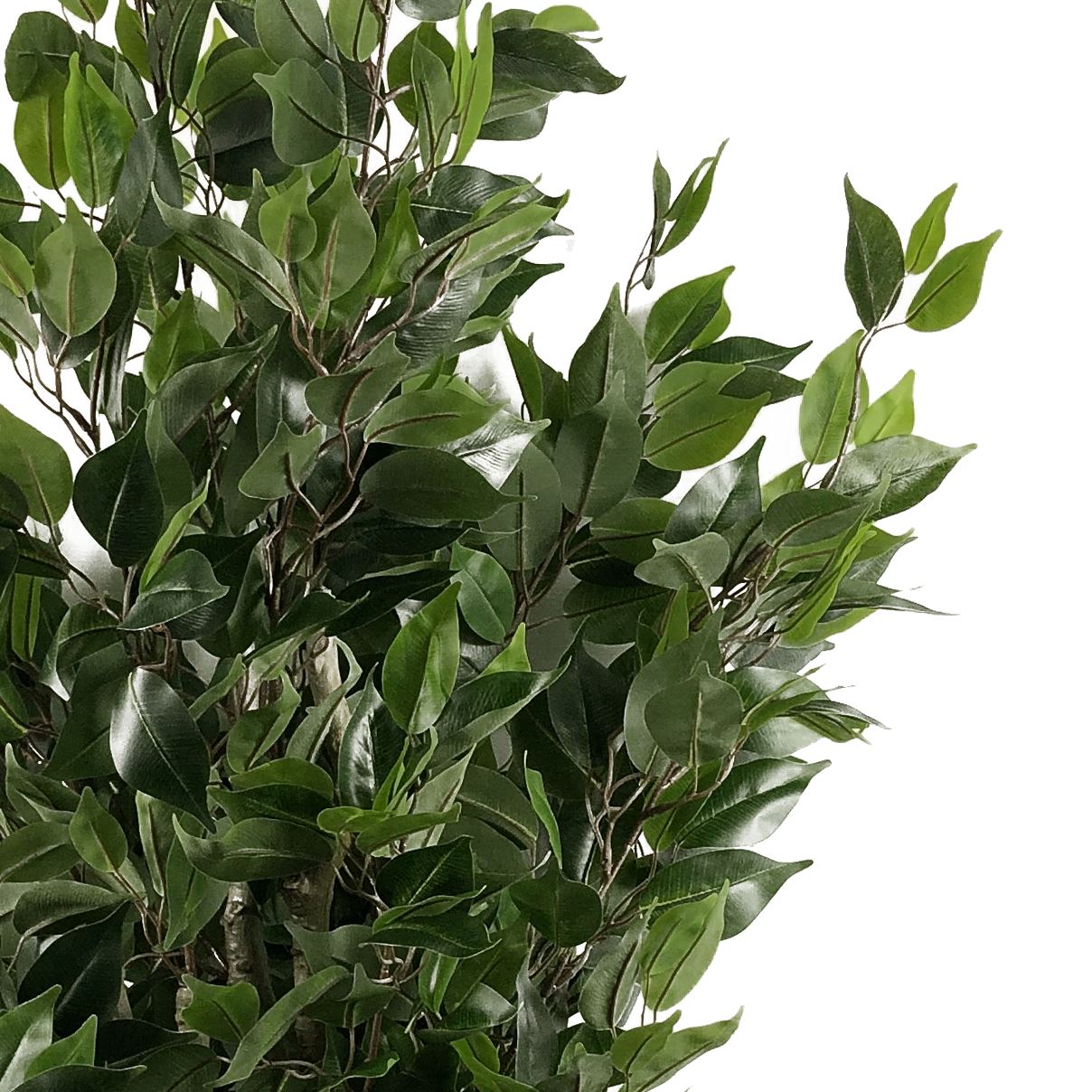 110cm Artificial Ficus Tree in Silver Curve Planter - Lifelike Indoor Accent - plants - express.com
