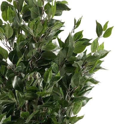 110cm Artificial Ficus Tree in Silver Curve Planter - Lifelike Indoor Accent - plants - express.com