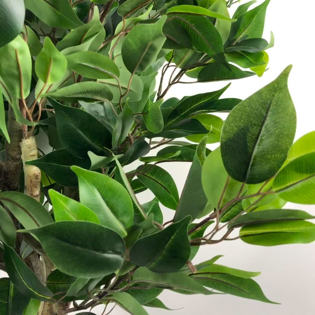 110cm Artificial Ficus Tree in Silver Curve Planter - Lifelike Indoor Accent - plants - express.com