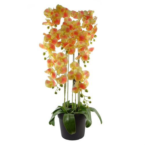 110cm Large Yellow Peach Orchid Plant - Artifcial - 41 REAL TOUCH flowers - plants - express.com