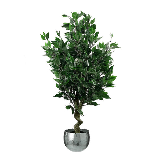 110cm Lifelike Twist Ficus Tree in Silver Curve Planter - plants - express.com