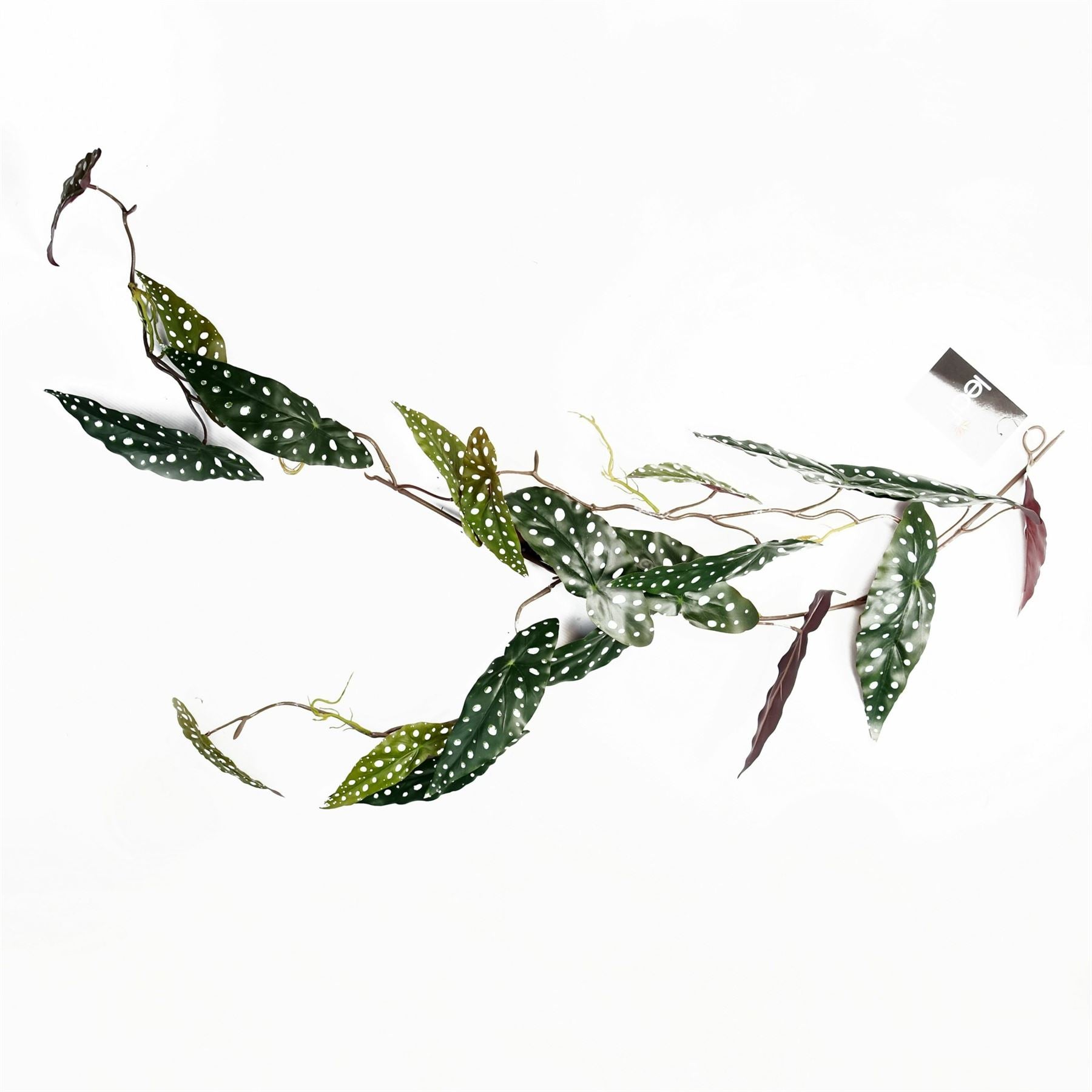 110cm Realistic Begonia Maculata Hanging Plant - Lush, Spotted Elegance! - plants - express.com