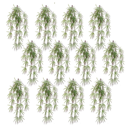 12 - Pack 100cm Lush Artificial Hanging Acer Spider Plants - Perfect for Displays! - plants - express.com