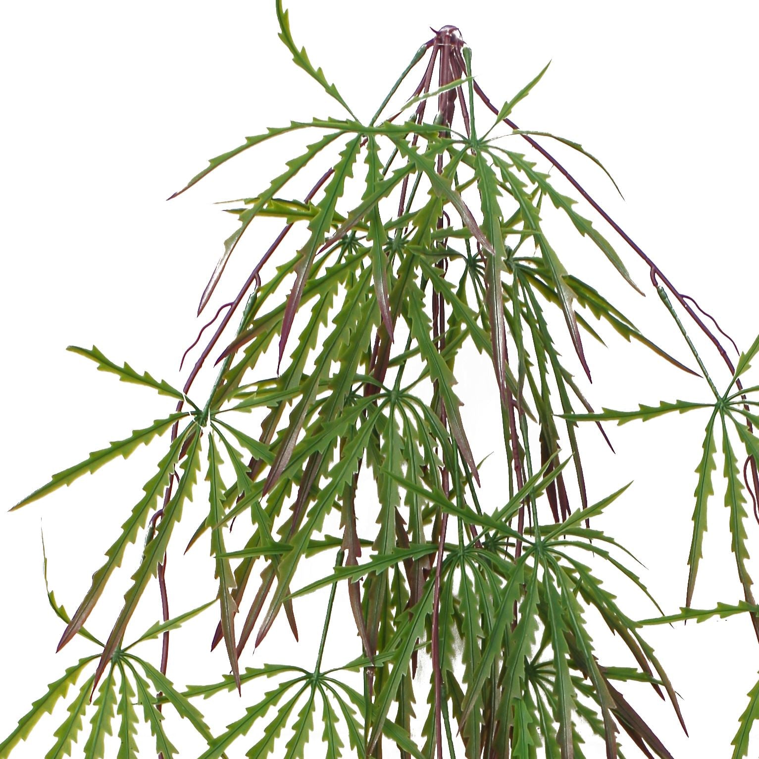 12 - Pack 100cm Lush Artificial Hanging Acer Spider Plants - Perfect for Displays! - plants - express.com