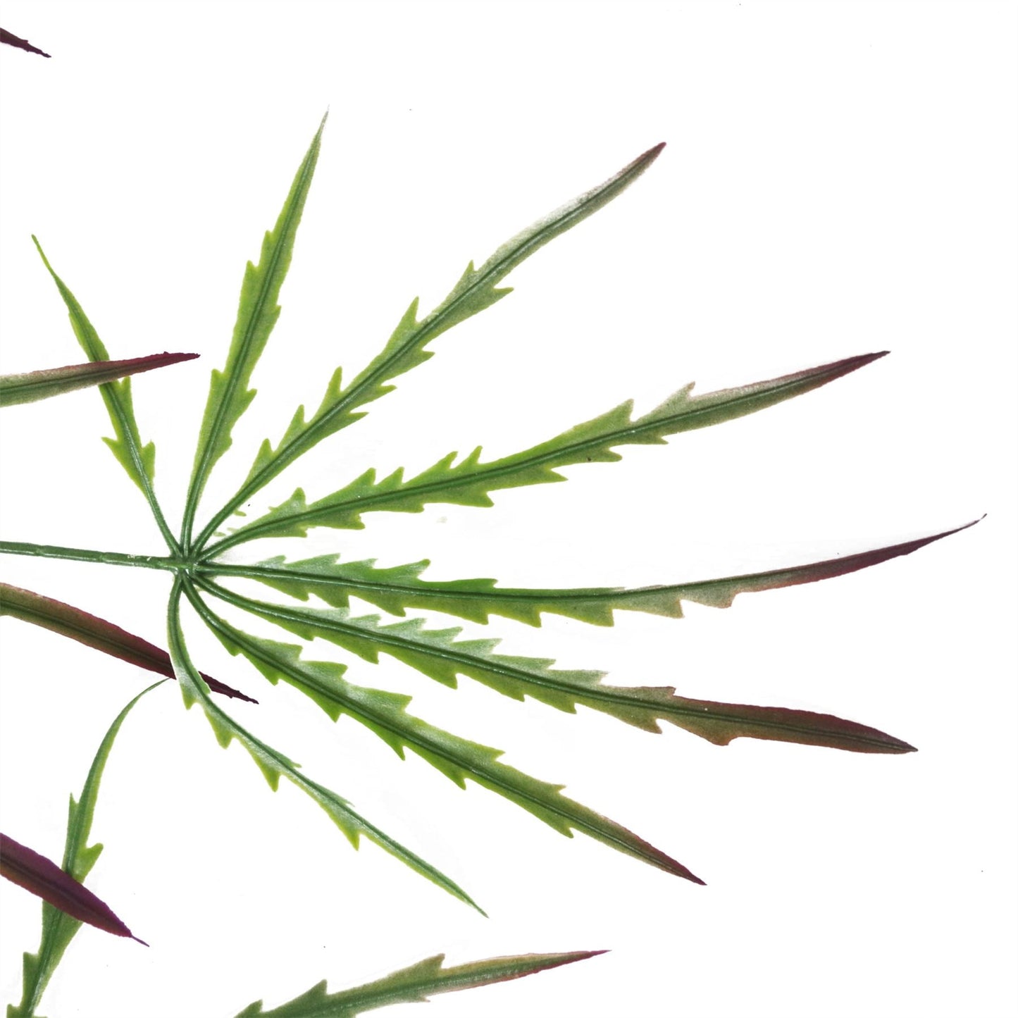 12 - Pack 100cm Realistic Artificial Hanging Acer Plants for Stunning Displays - plants - express.com