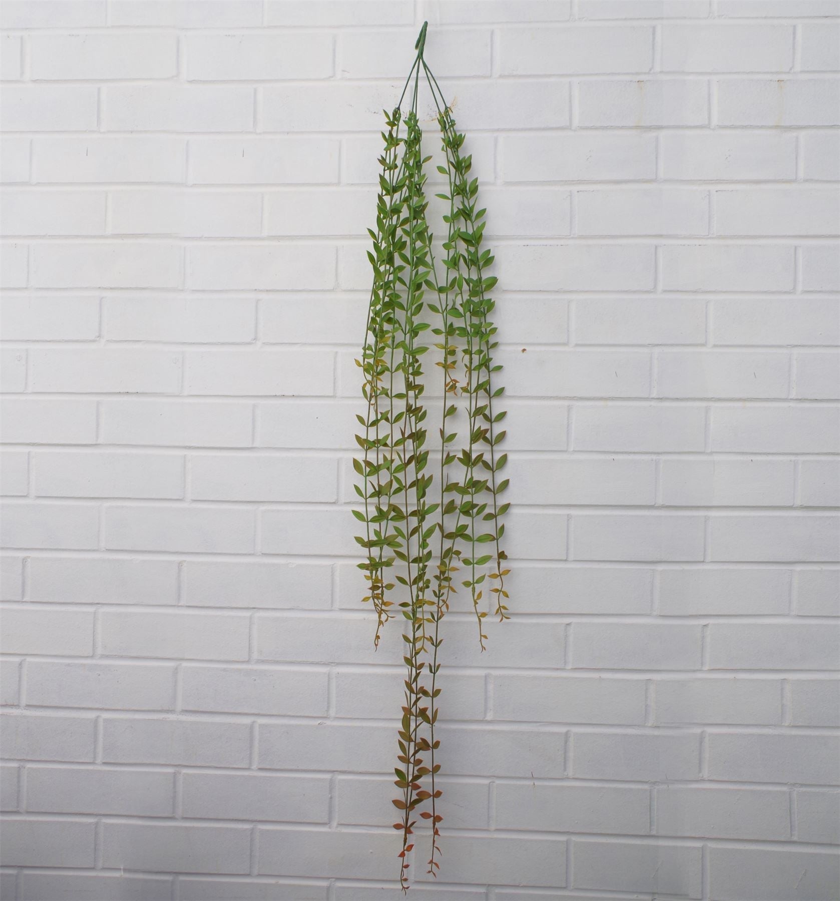 12 - Pack 120cm Realistic Artificial Hanging String of Pearls - Perfect for Displays! - plants - express.com