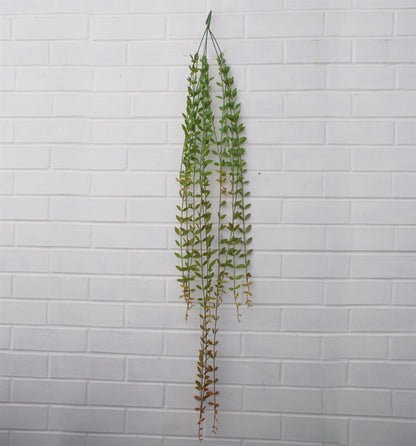 12 - Pack 120cm Realistic Artificial Hanging String of Pearls - Perfect for Displays! - plants - express.com