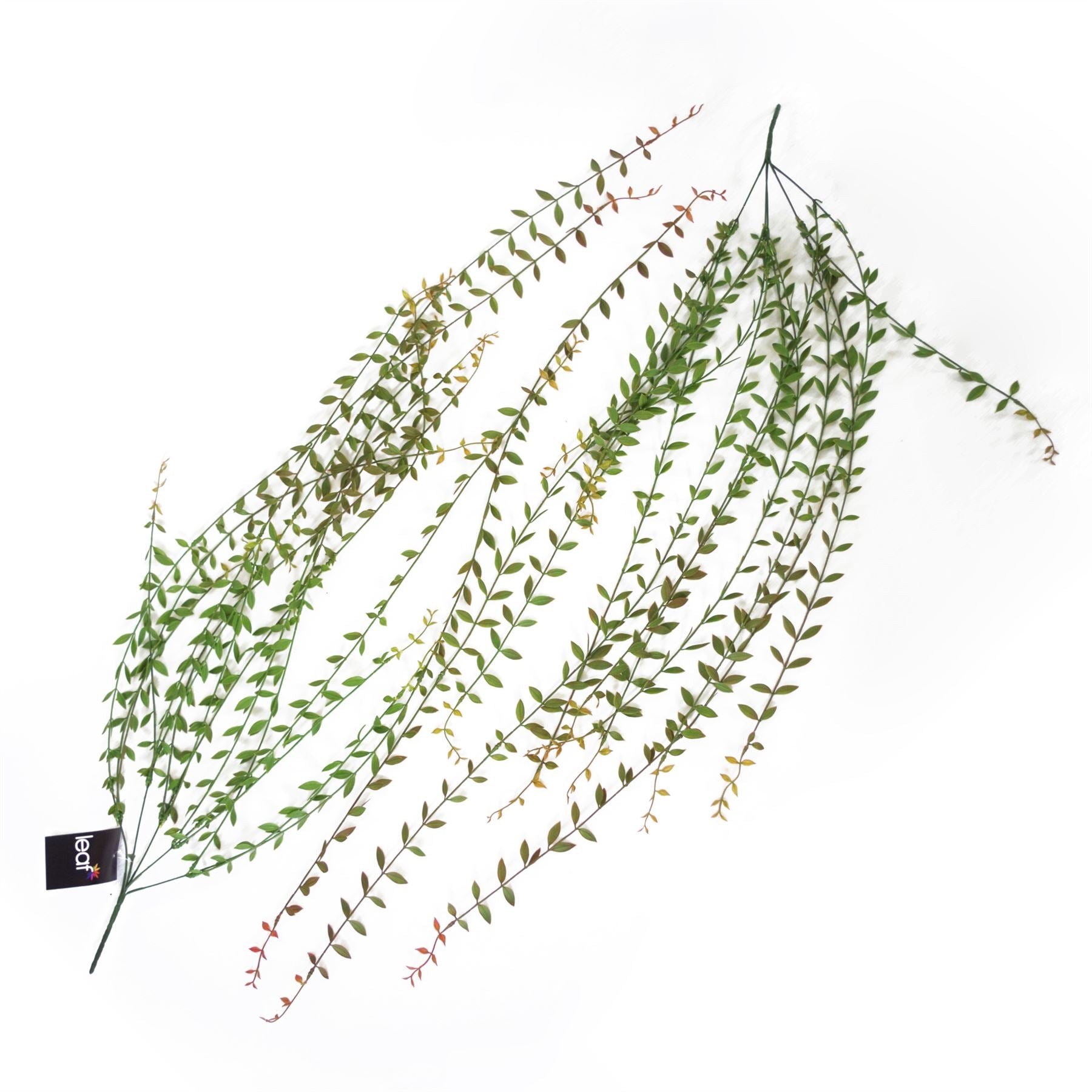 12 - Pack 120cm Realistic Artificial Hanging String of Pearls - Perfect for Displays! - plants - express.com