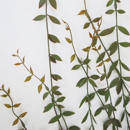 12 - Pack 120cm Realistic Artificial Hanging String of Pearls - Perfect for Displays! - plants - express.com