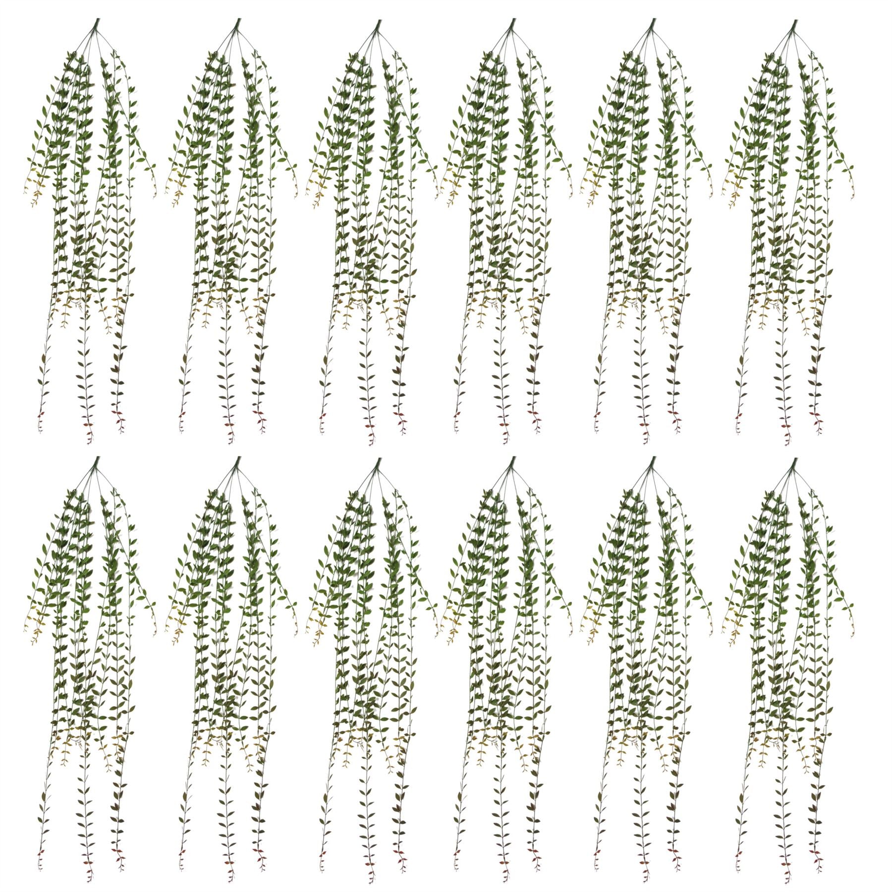 12 - Pack Extra Long Artificial Hanging String of Pearls - 120cm Realistic Decor - plants - express.com