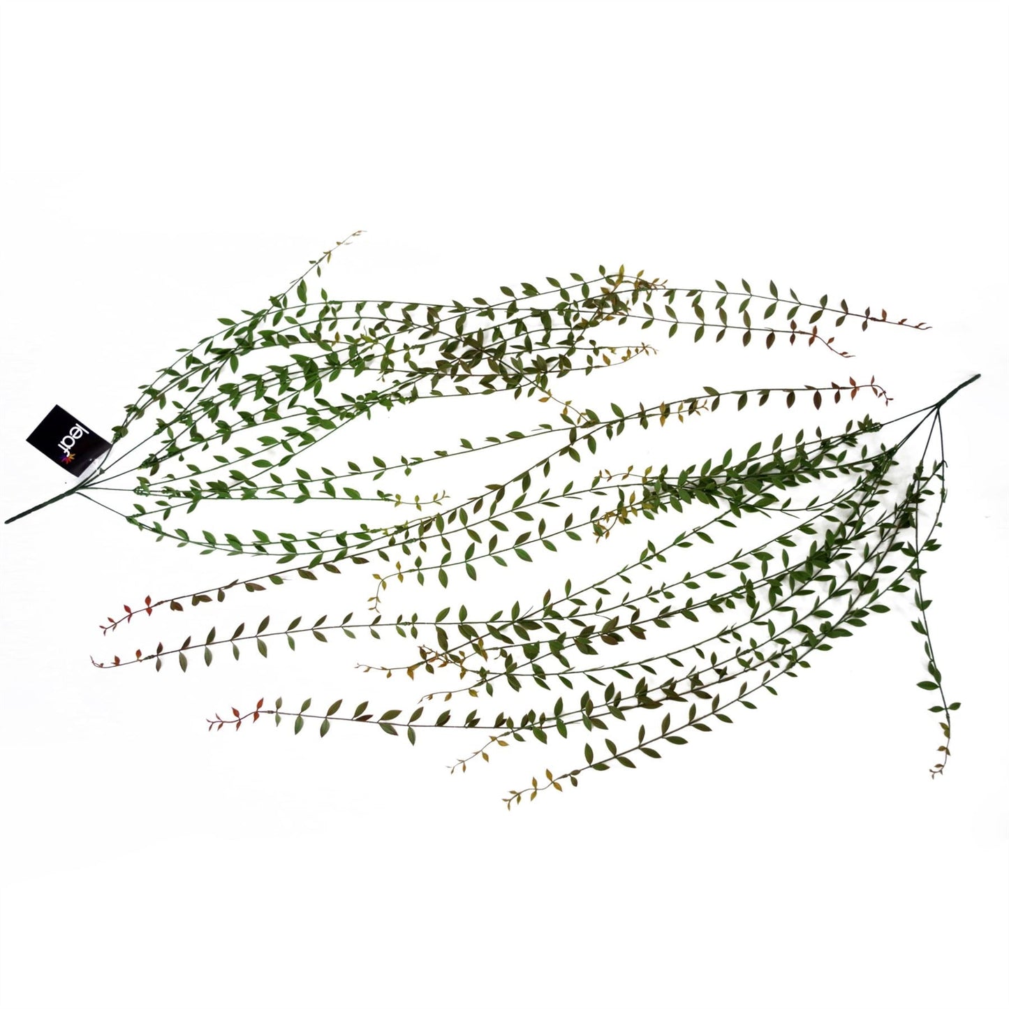12 - Pack Extra Long Artificial Hanging String of Pearls - 120cm Realistic Decor - plants - express.com