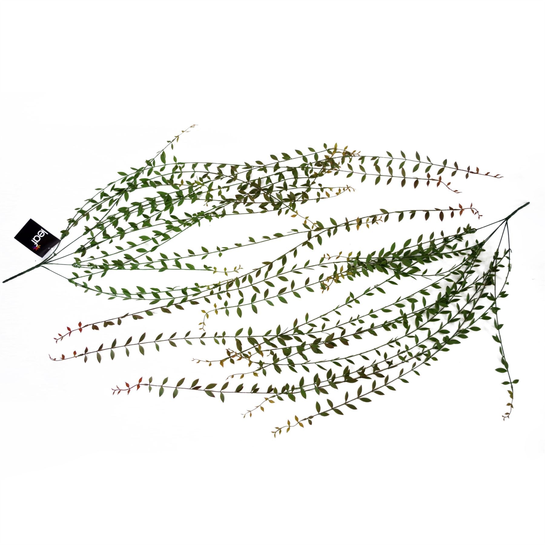 12 - Pack Extra Long Artificial Hanging String of Pearls - 120cm Realistic Decor - plants - express.com