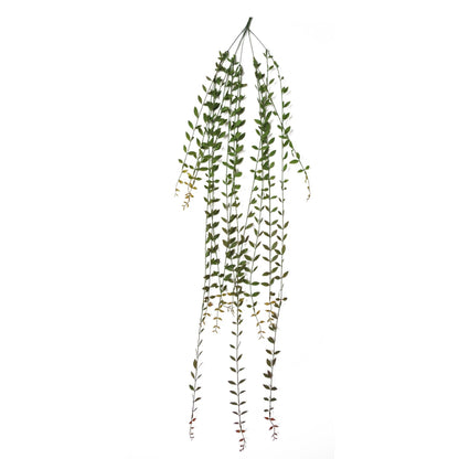 12 - Pack Extra Long Artificial Hanging String of Pearls - 120cm Realistic Decor - plants - express.com